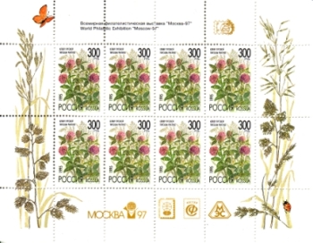 Preview: RUS 0439 KLBG ** - 1995